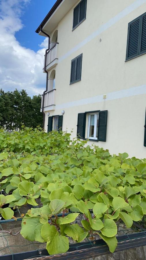 Vila Luca Island Krk / Malinska Exterior photo